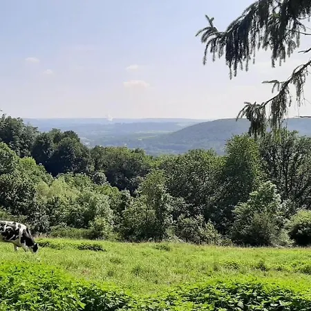 Nyaraló Hanina Va Dans Les Bois